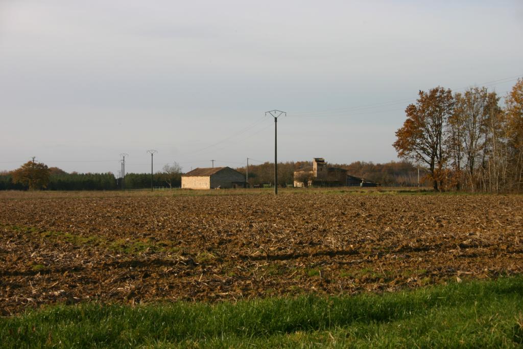 ferme