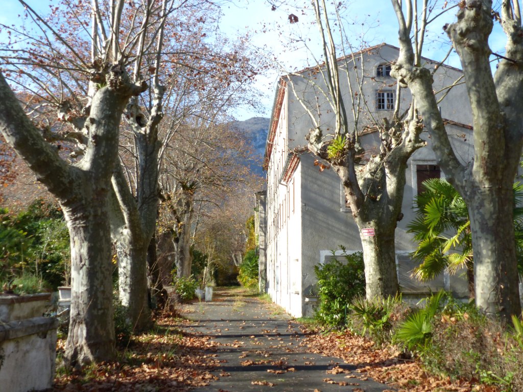 parc thermal de Ginoles-les-Bains