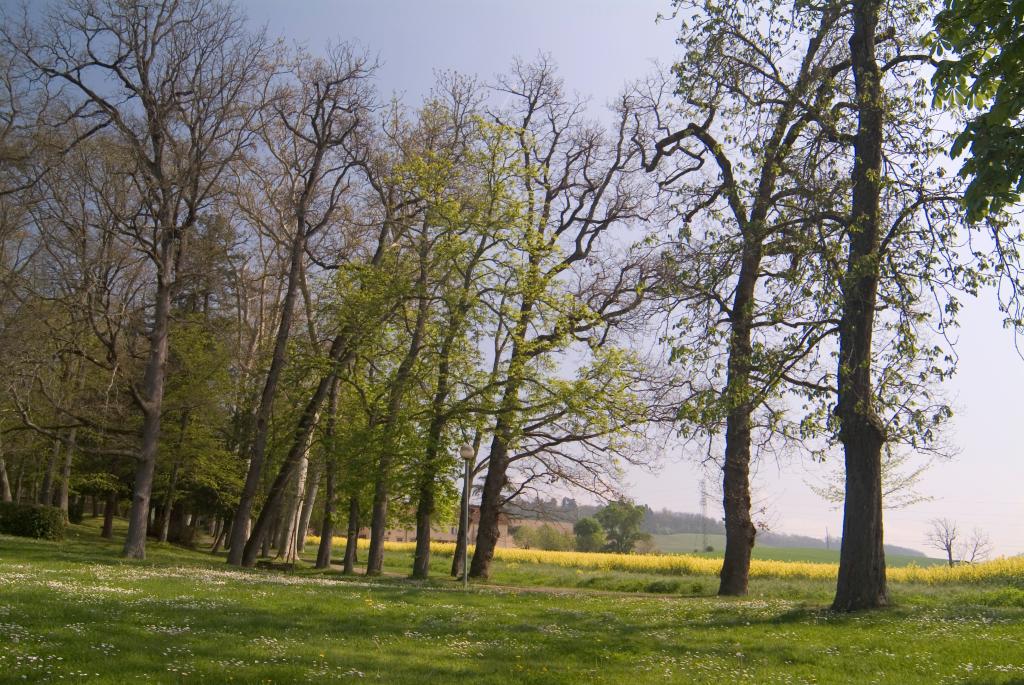 parc de La Hourre