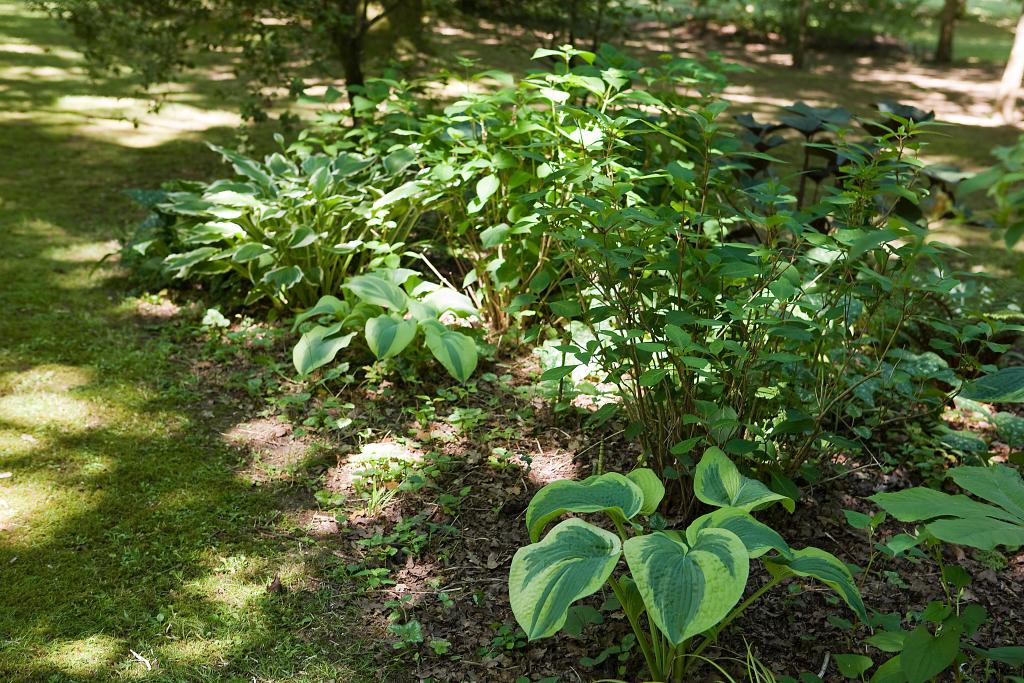 jardin d'agrément dit jardin Bailleul