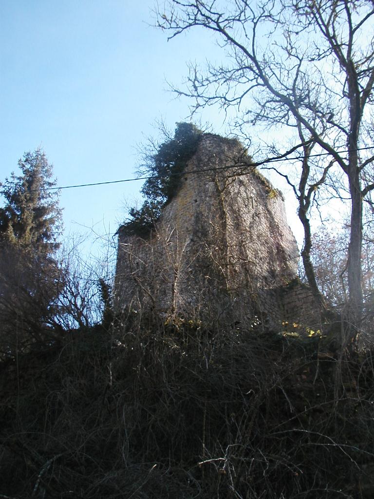 ensemble castral : castrum