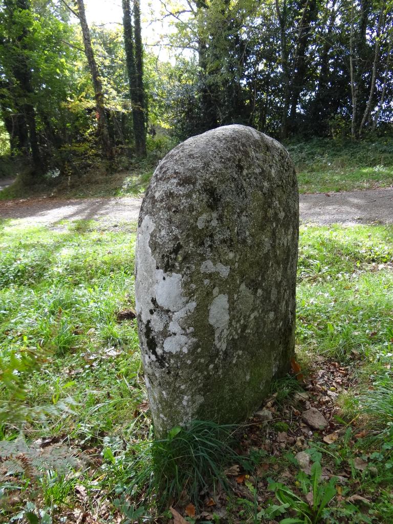 statue-menhir de Cambaïssy