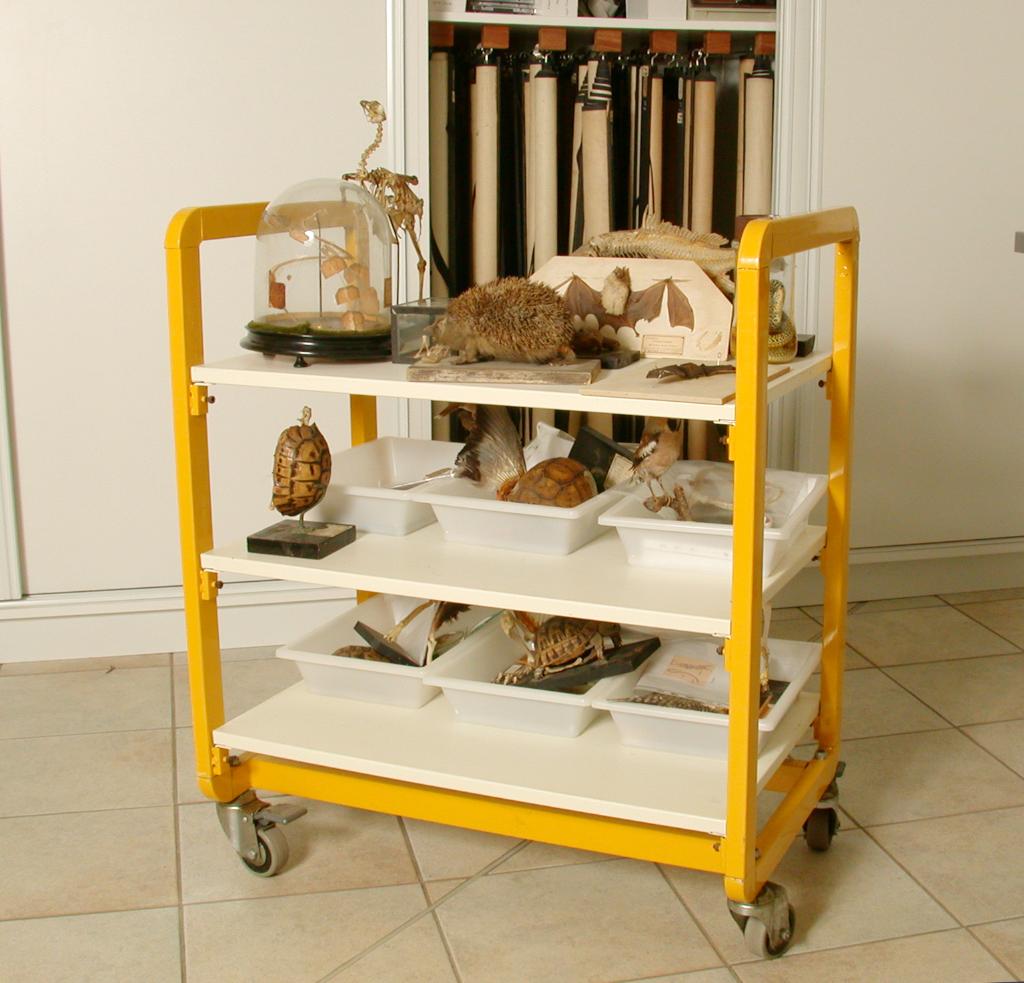 collection d'instruments ou objets pédagogiques