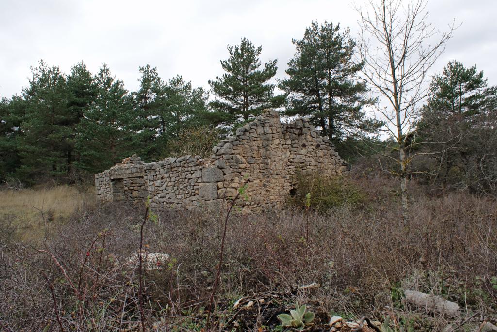 mine de lignite