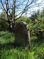 statue-menhir des Fontanelles