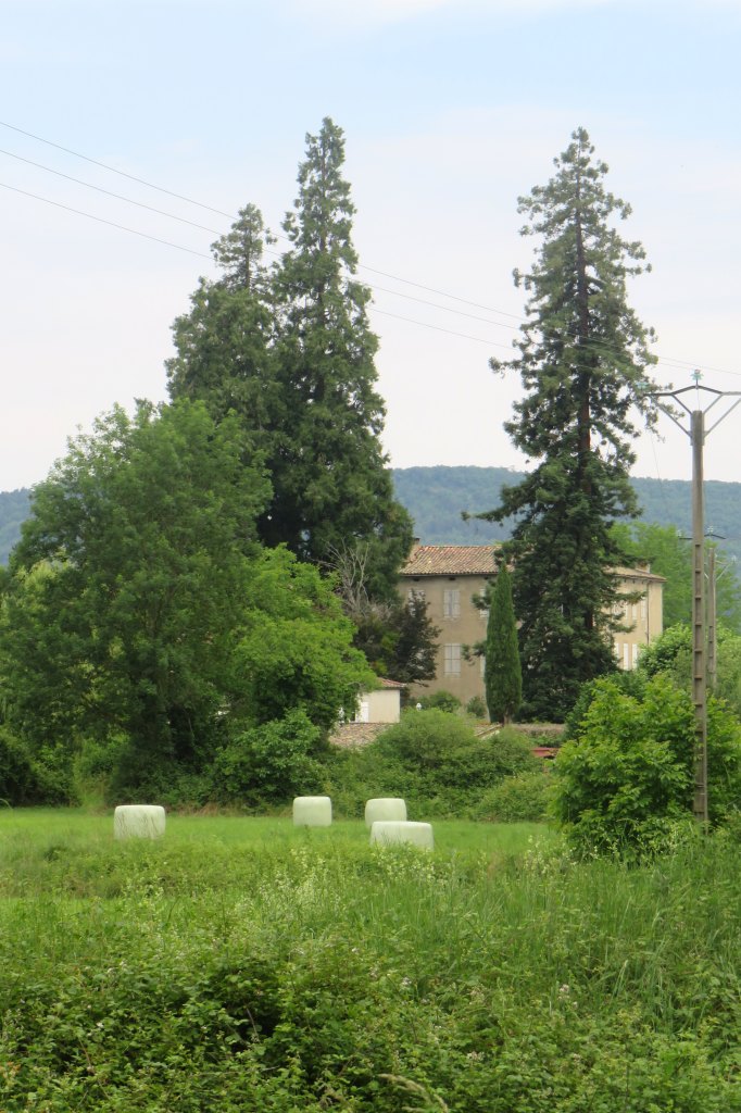 maison de maître, dite maison Sage