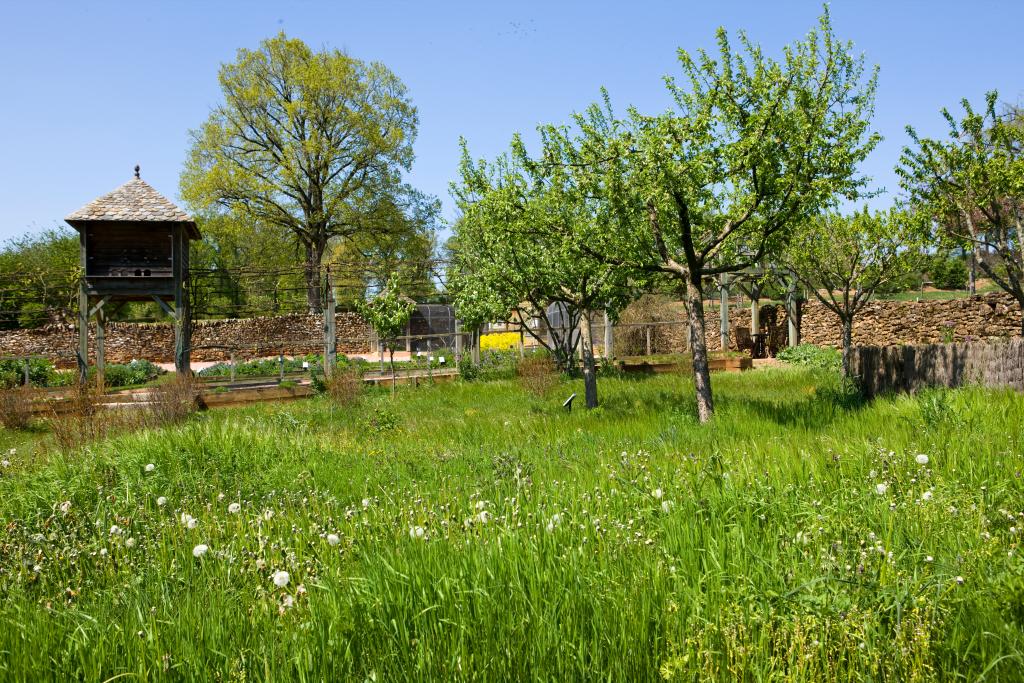 jardin dit Jardin d'Eden Médiéval et parc du château du Colombier