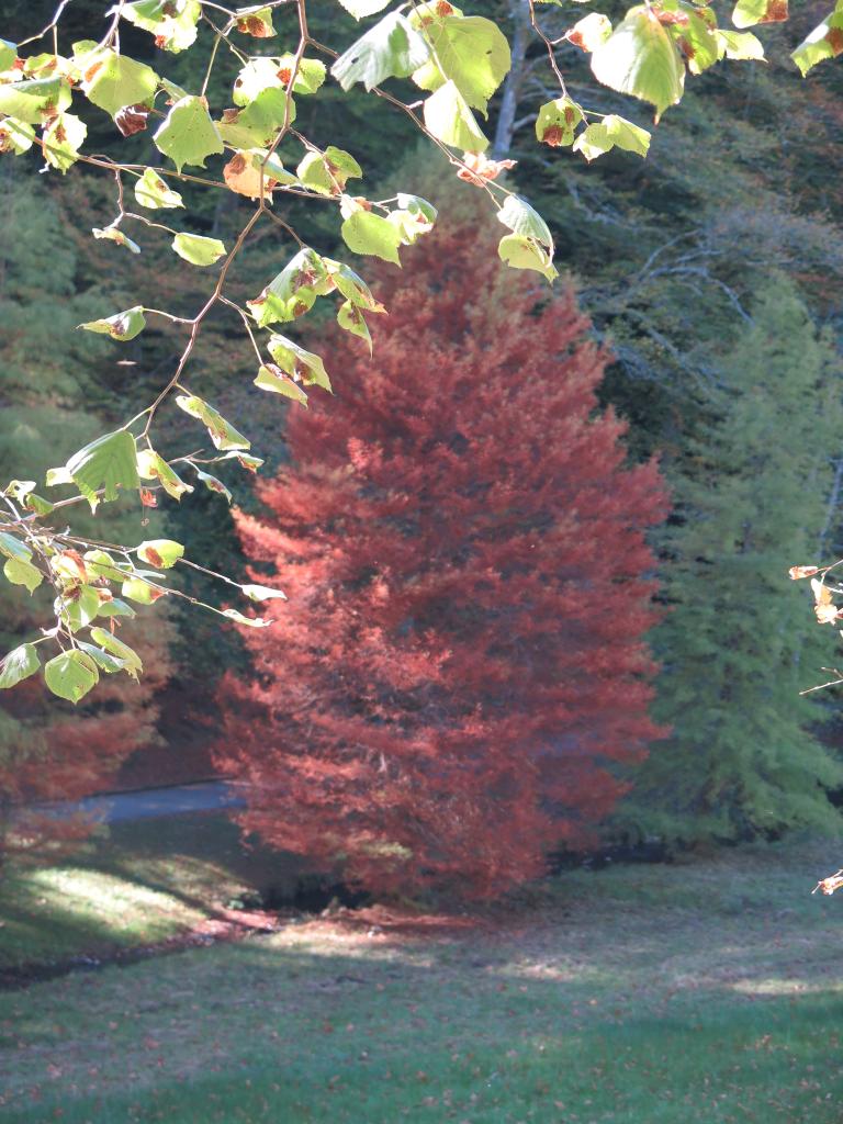 jardin public dit Vallon de Salut