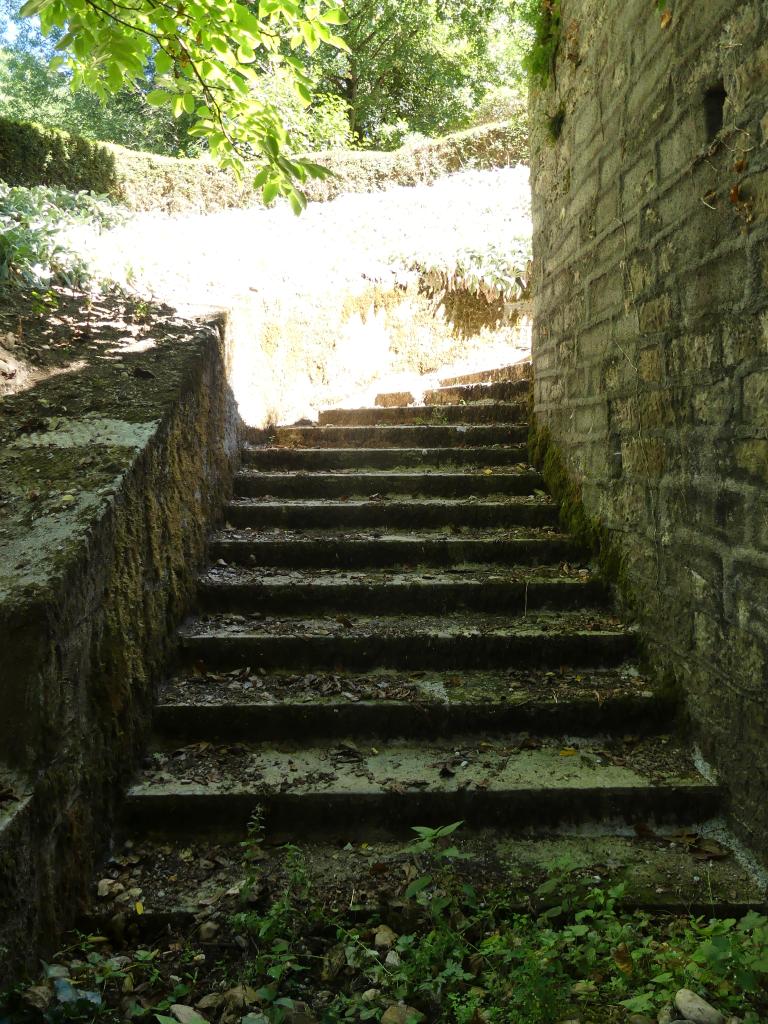 ponceau