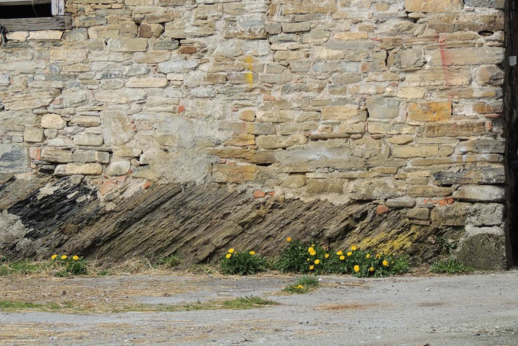 bâtiment agricole : étable et remise agricole