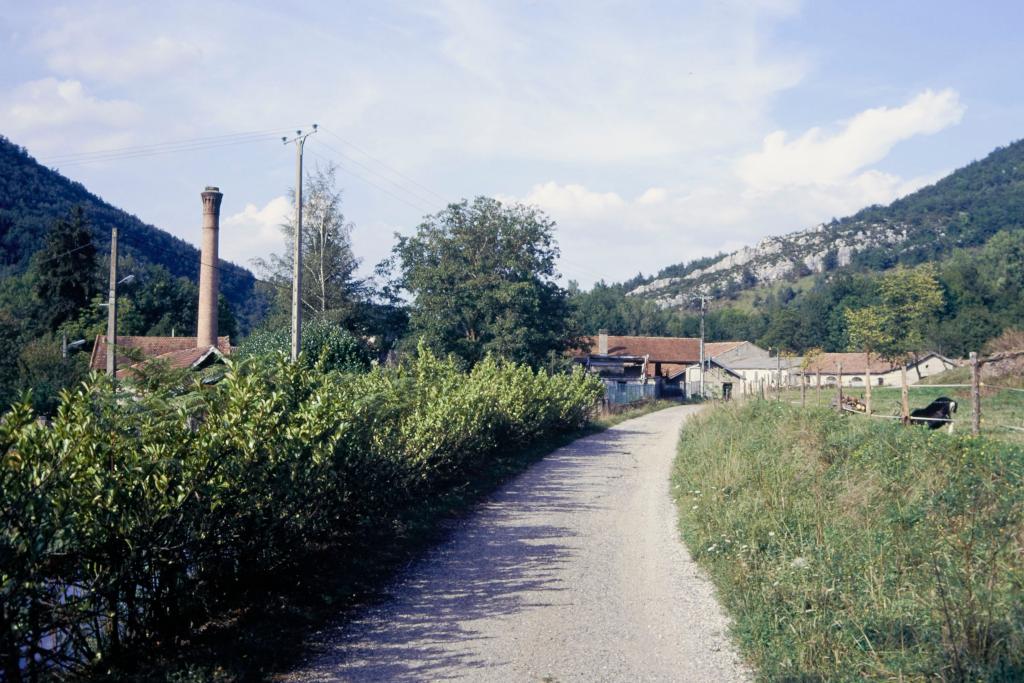 fabrique de peigne en corne Azéma-Bigou