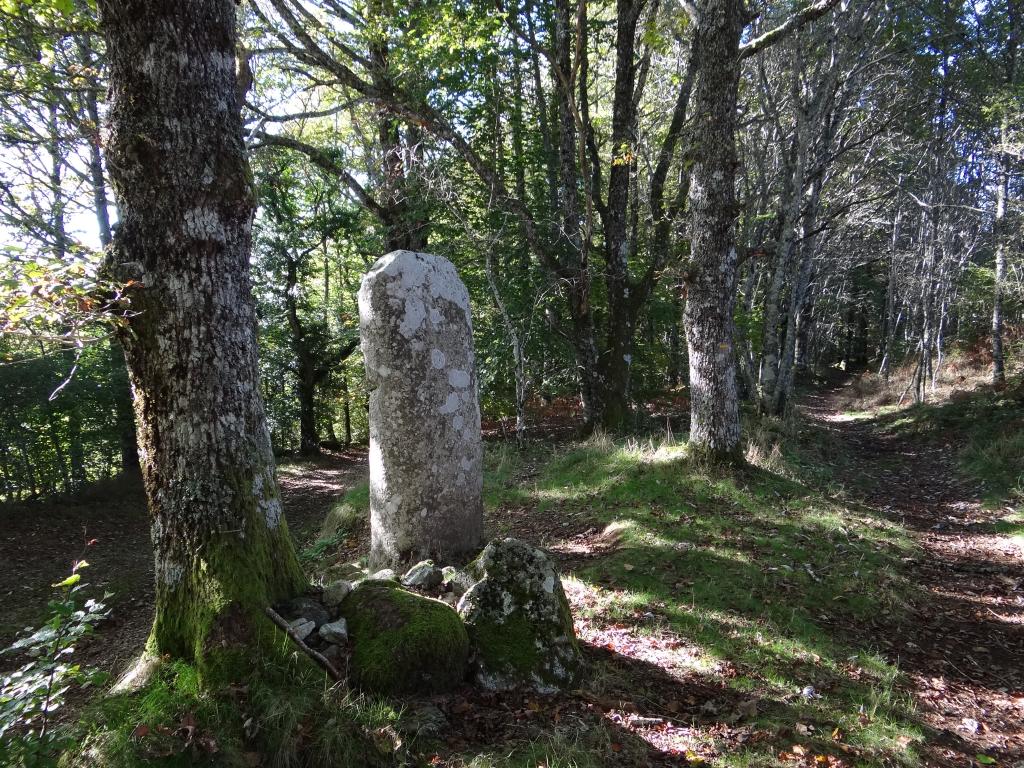 statue-menhir de Picarel