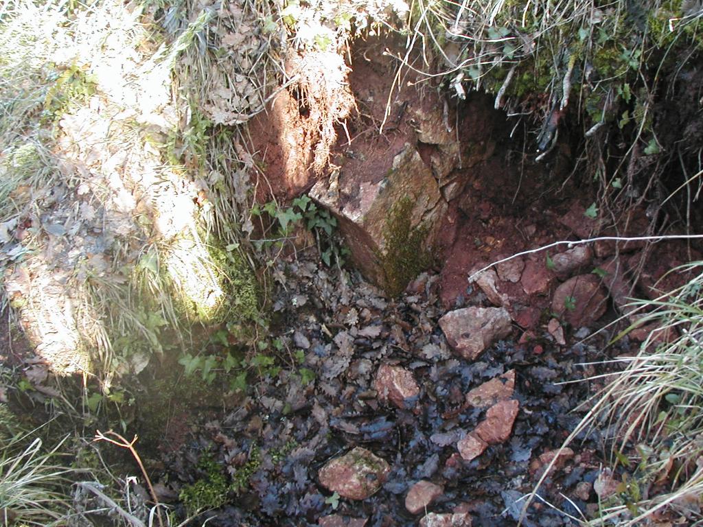 ensemble castral : castrum