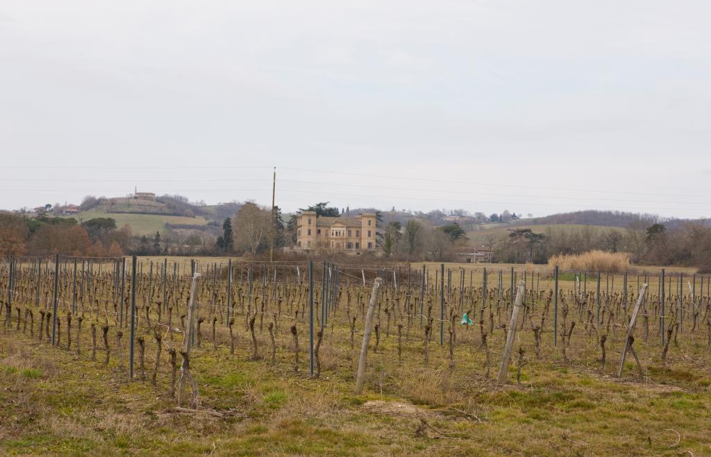 château viticole