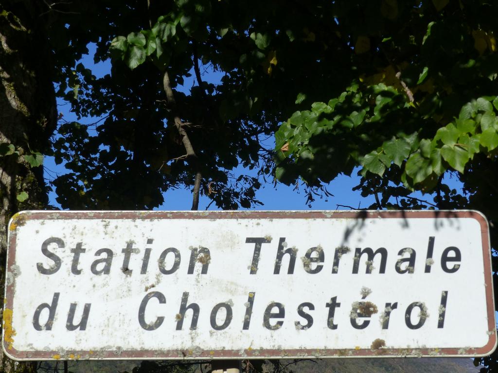 station thermale d'Aulus-les-Bains