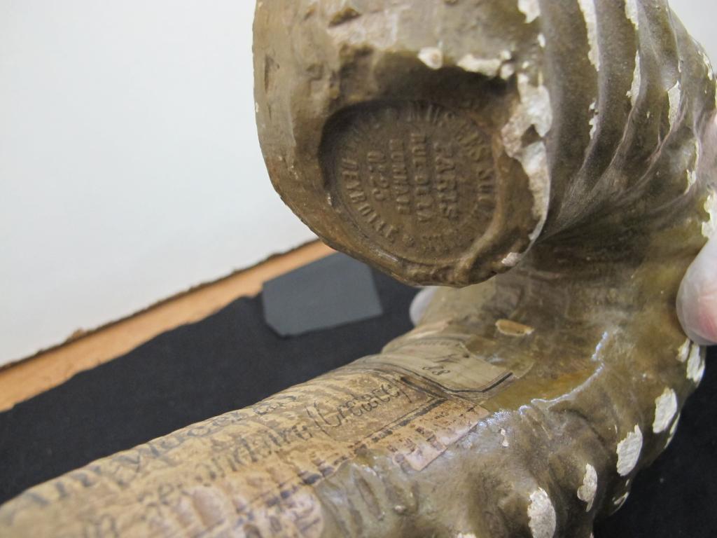 ensemble d'objets de représentation scientifique et pédagogique fossile