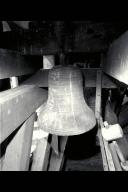 cloche (2)