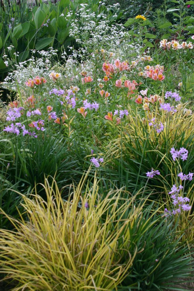 jardin botanique dit Les Martels