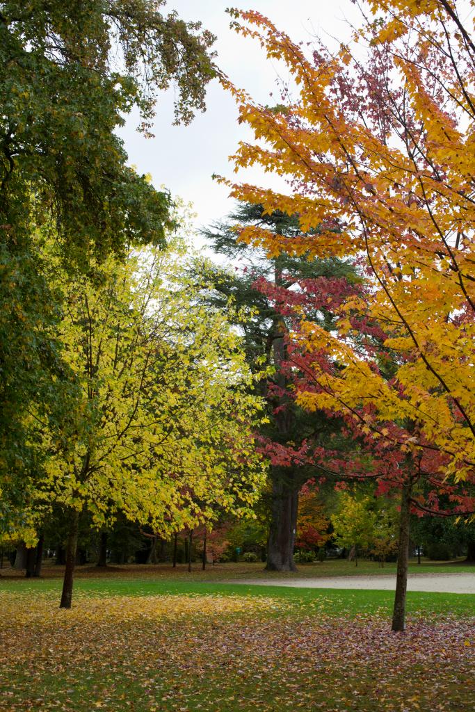 ancien jardin botanique dit Jardin Massey actuellement jardin public