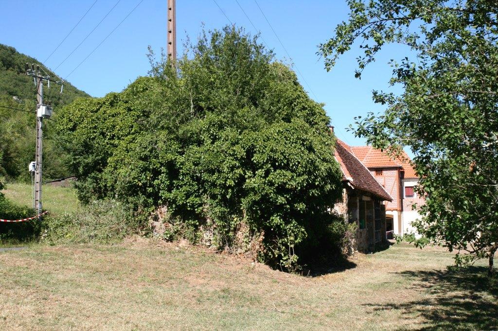 briqueterie , tuilerie