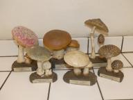 ensemble de 6 modèles de champignons