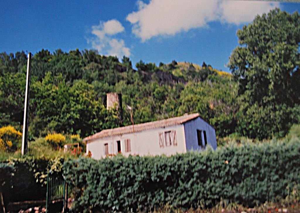 mine n°1