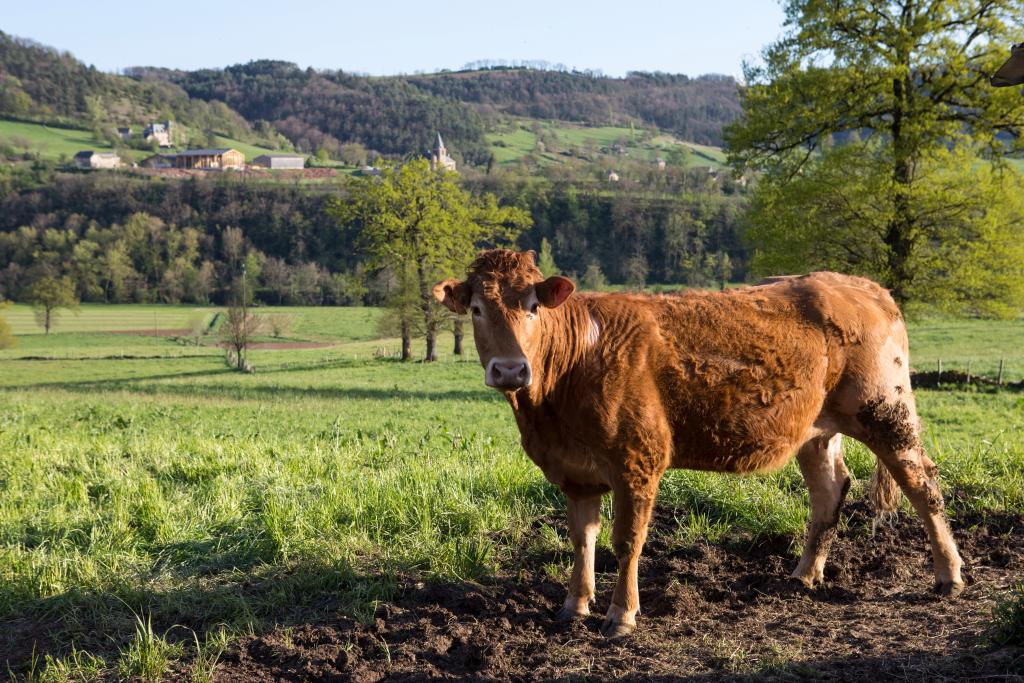 présentation de la commune d'Estaing