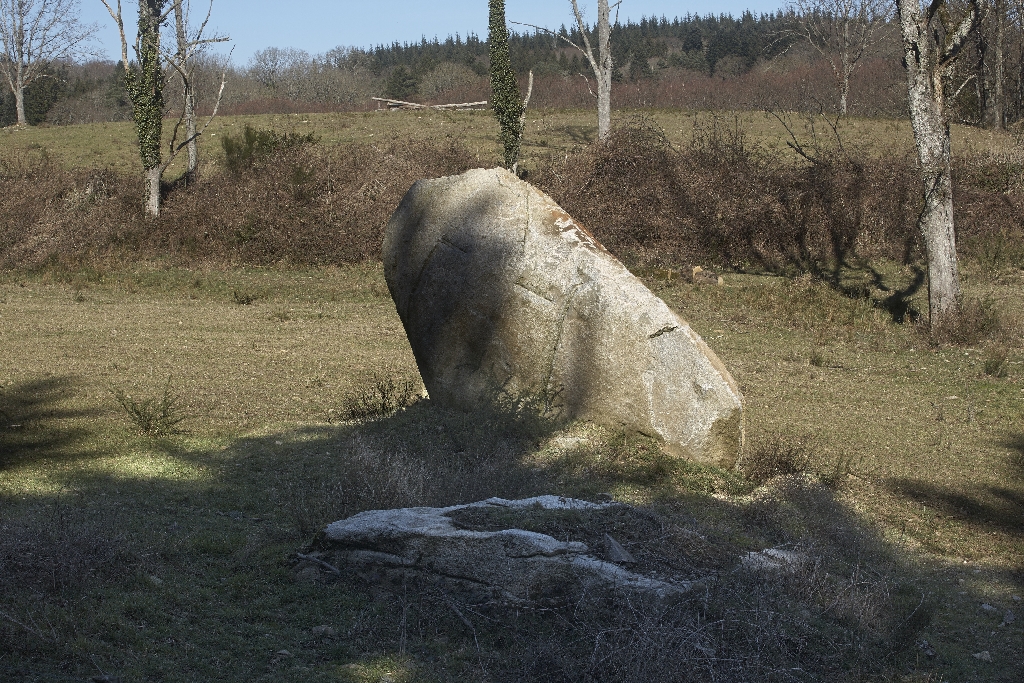 Menhir dit Pierre levée de Picarel