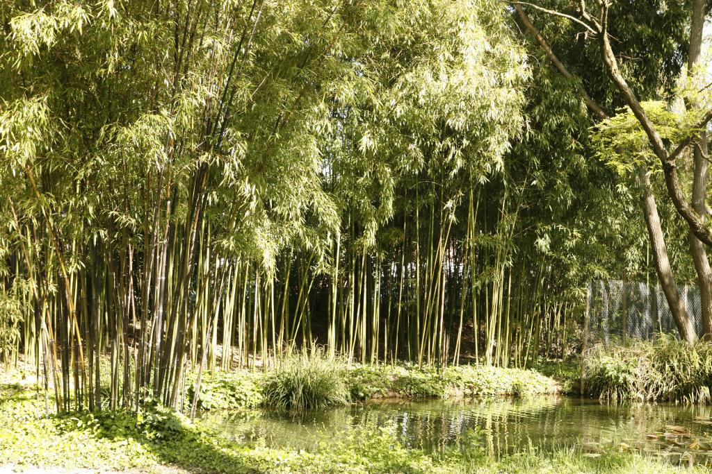 ancien jardin d'agrément du château de Reynerie, actuellement parc public