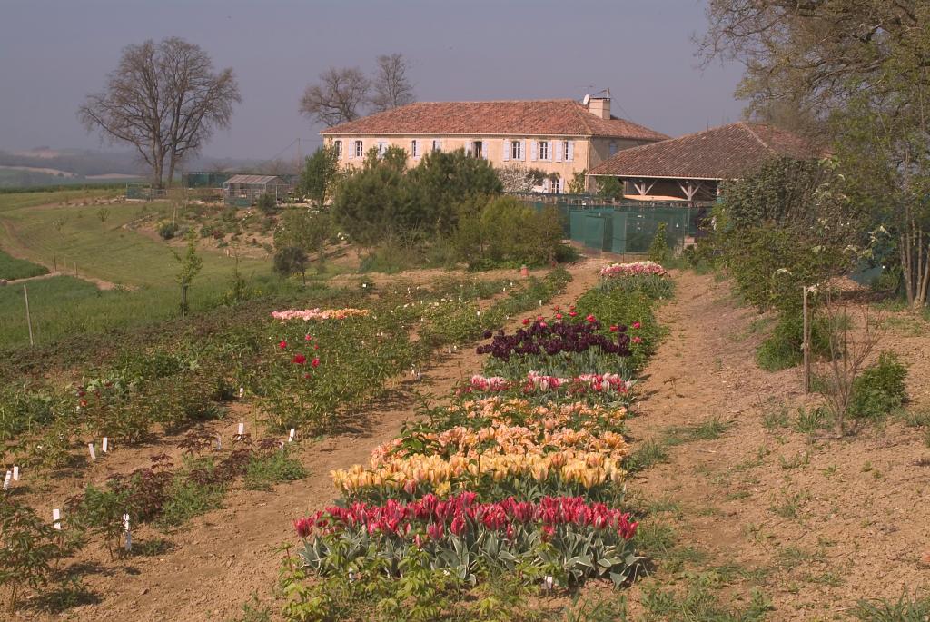 jardin botanique de la Pivoine Bleue