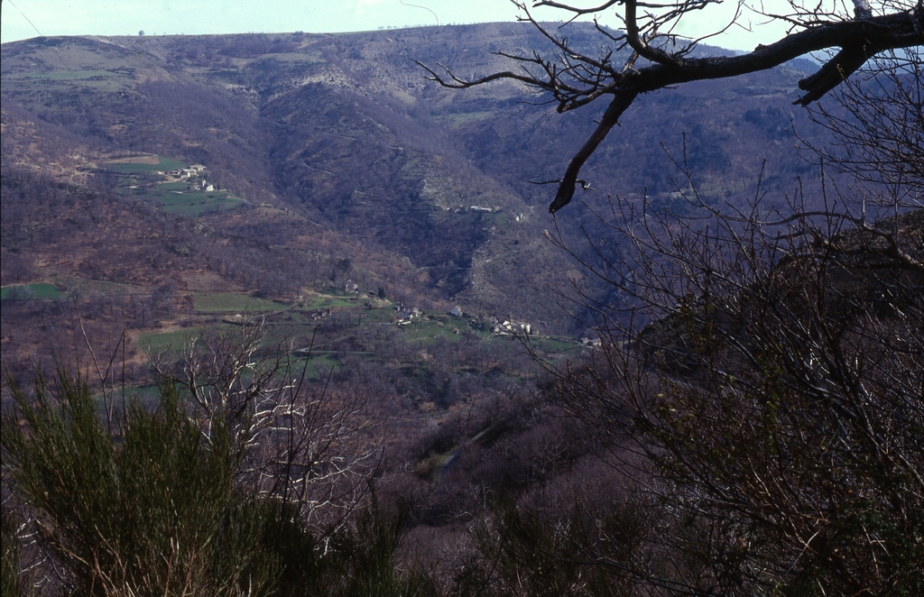 Etude de la commune de Barre-des-Cevennes
