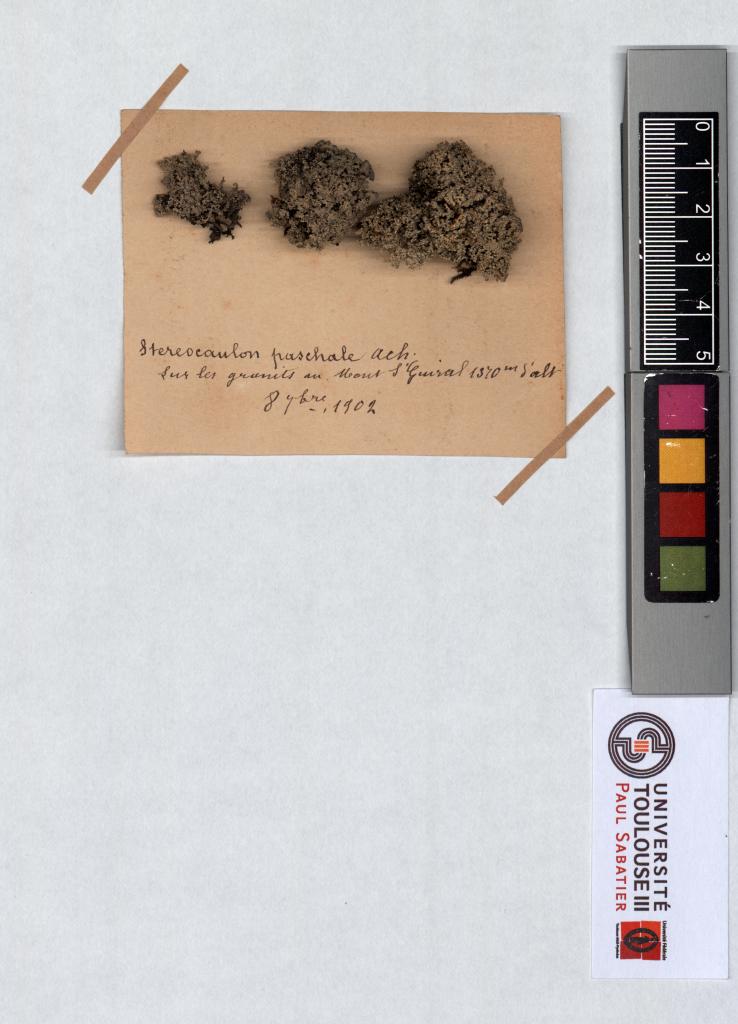 Herbier Saltel