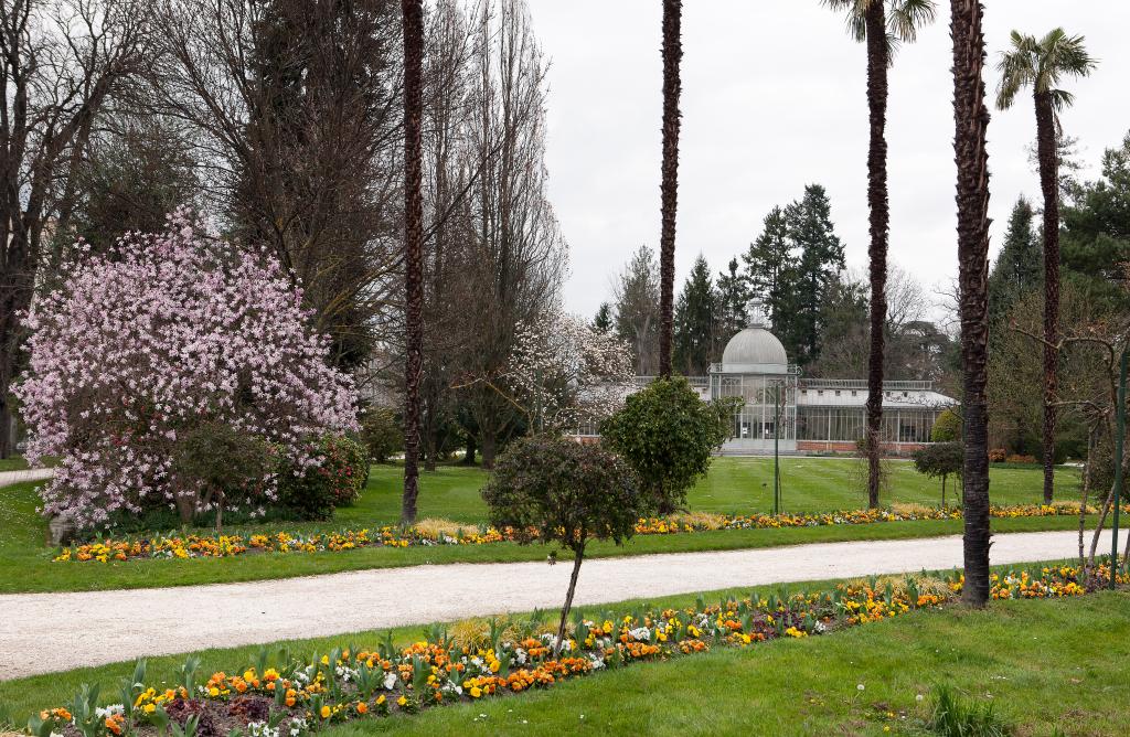 ancien jardin botanique dit Jardin Massey actuellement jardin public