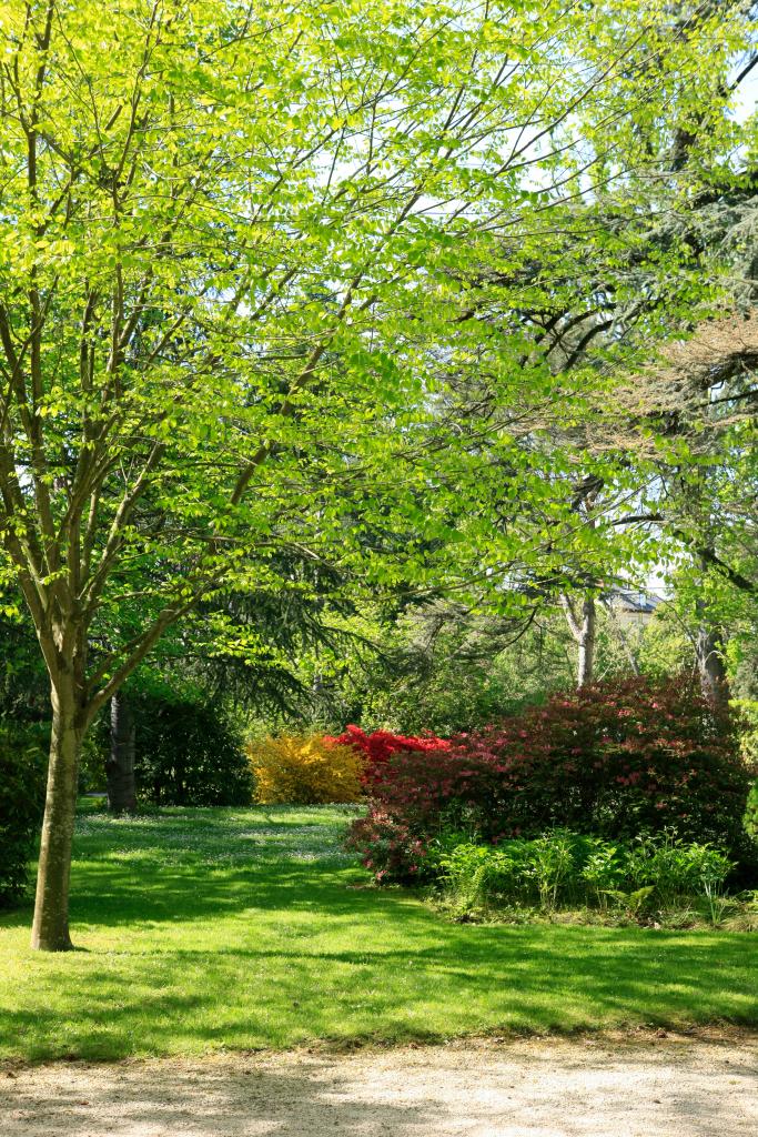 ancien jardin botanique dit Jardin Massey actuellement jardin public