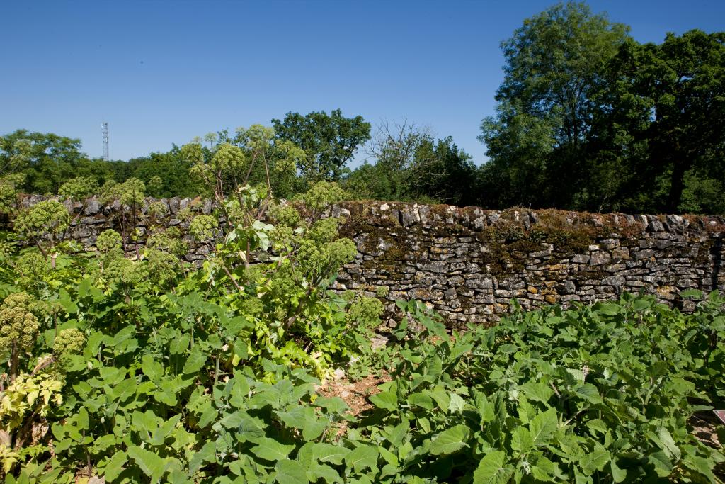 parc dit du Grand Couvent