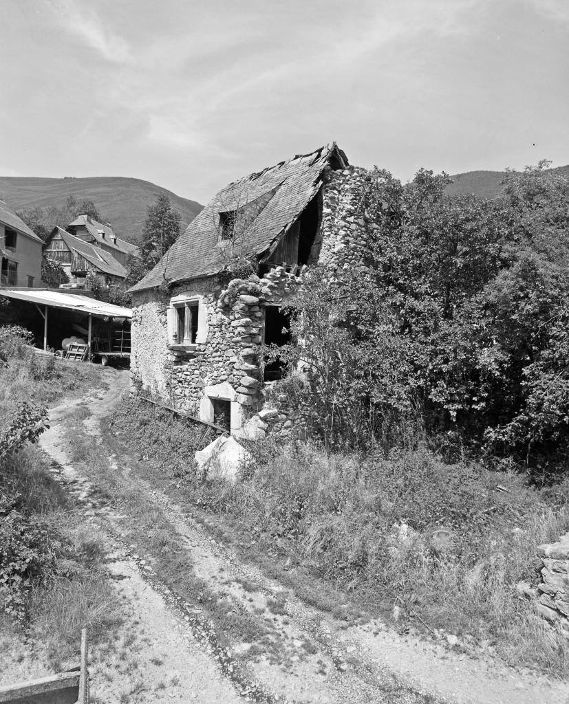 maison Vigne