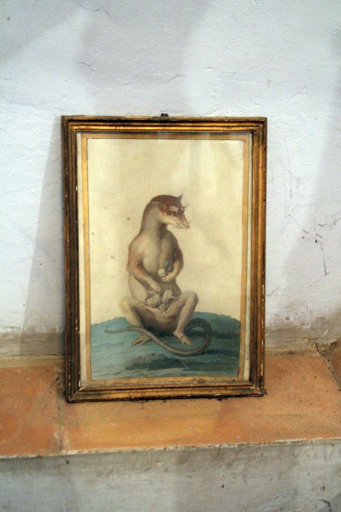 Le mobilier de la maison de Claude Simon