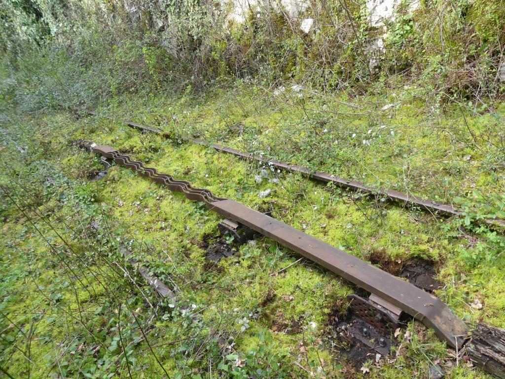détecteur de passage dit crocodile