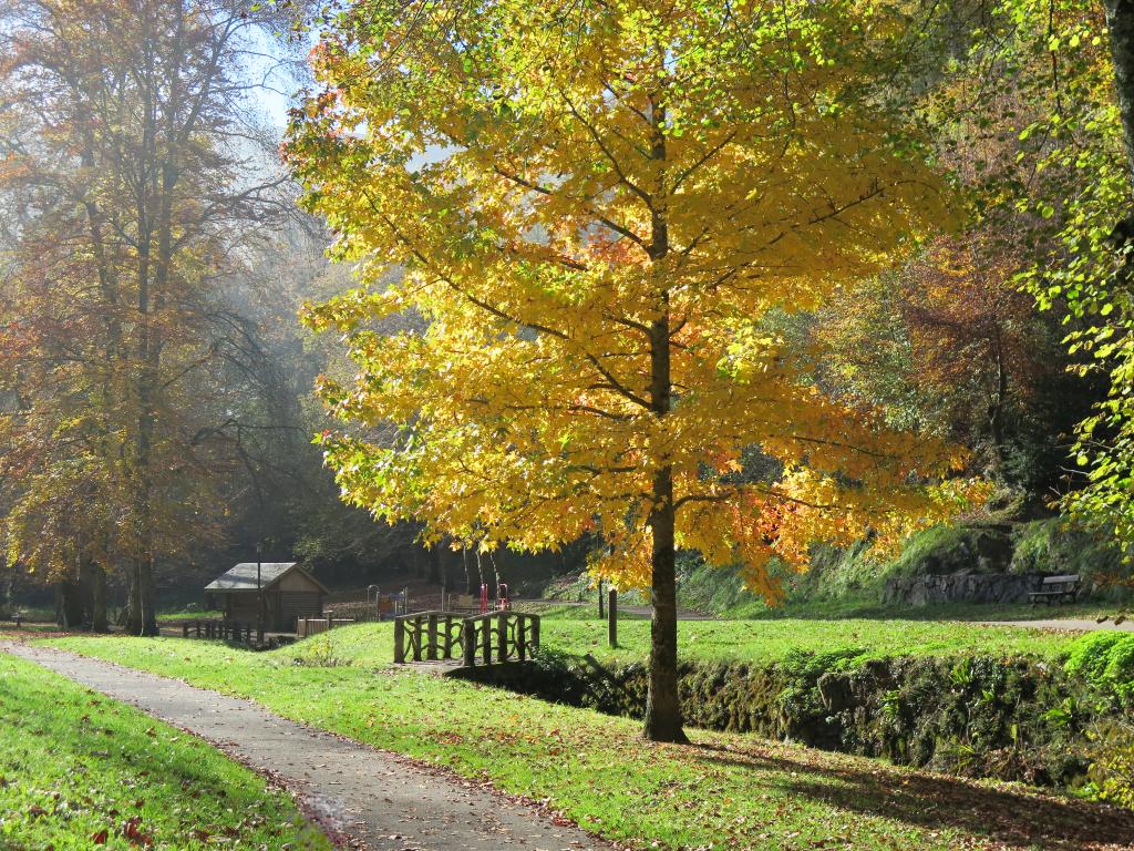 jardin public dit Vallon de Salut