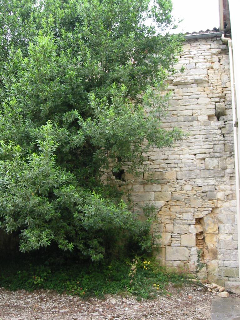 prieuré de grandmontains Notre-Dame, actuellement église paroissiale