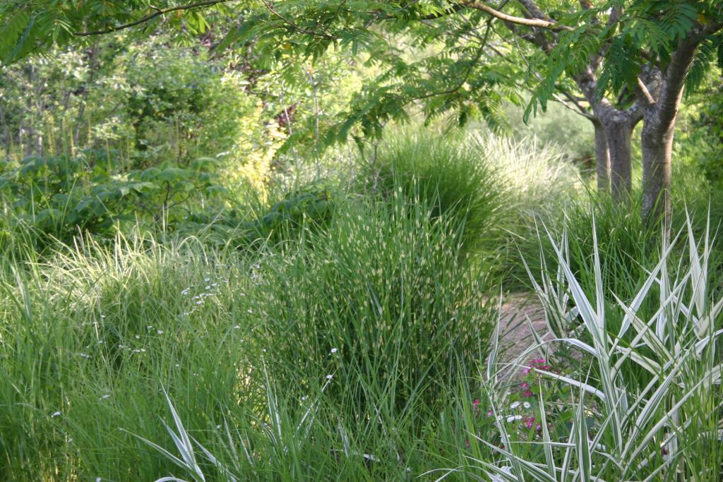 jardin botanique dit Les Martels