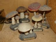 ensemble de 6 modèles de champignons