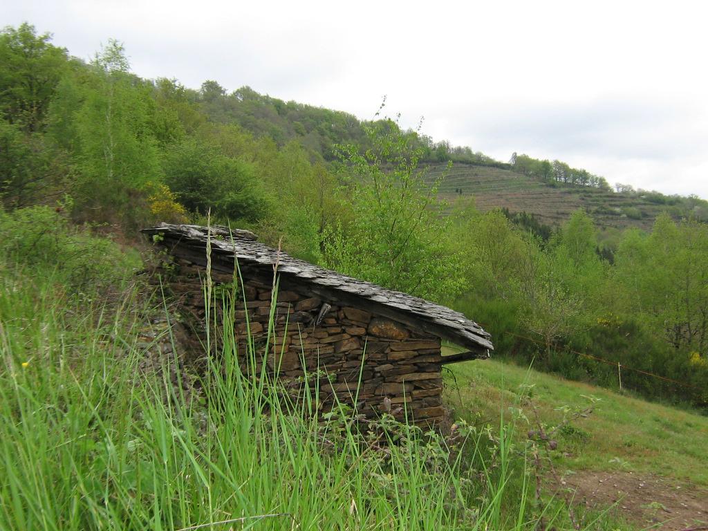 ensemble des maisons de vigne