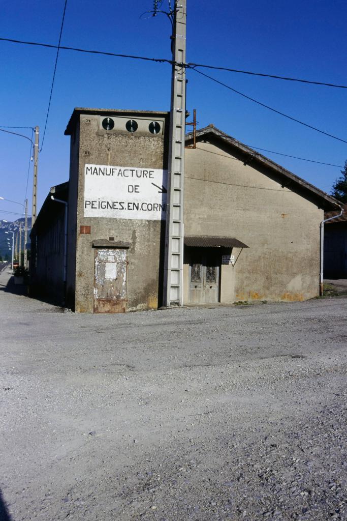 fabrique de peigne en corne dite Le peigne de lAriège, Seguy Beille et Cie, puis Seguy-Bigou et Cie, puis Seguy et Cie, puis Delpech, puis Da Fonseca