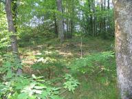 motte de Fourques de Guerre