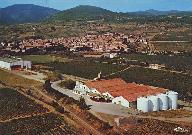 coopérative vinicole : La Vigneronne ; Cellier du Palais Abbatial
