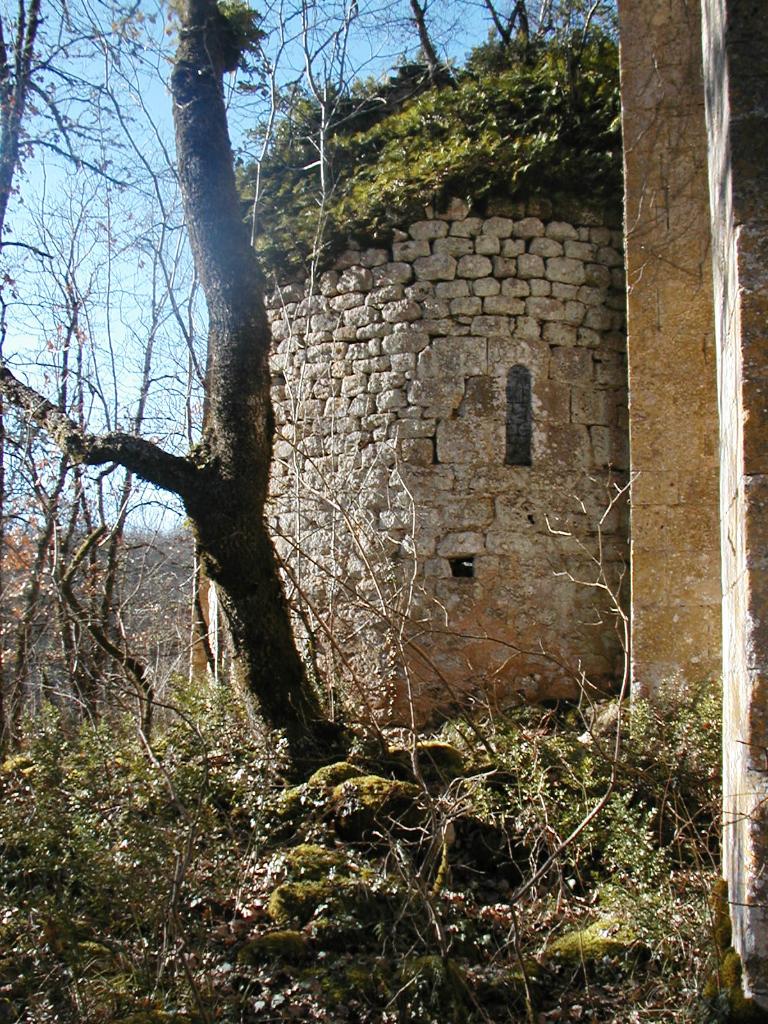 ensemble castral : castrum