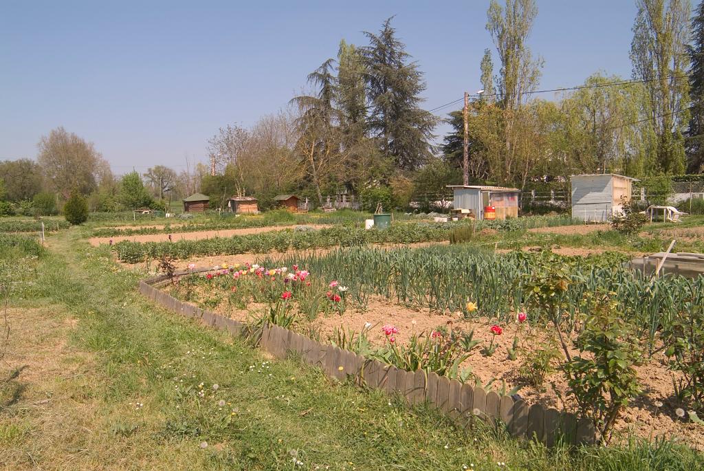 jardins ouvriers dit jardins familiaux de la Ribère