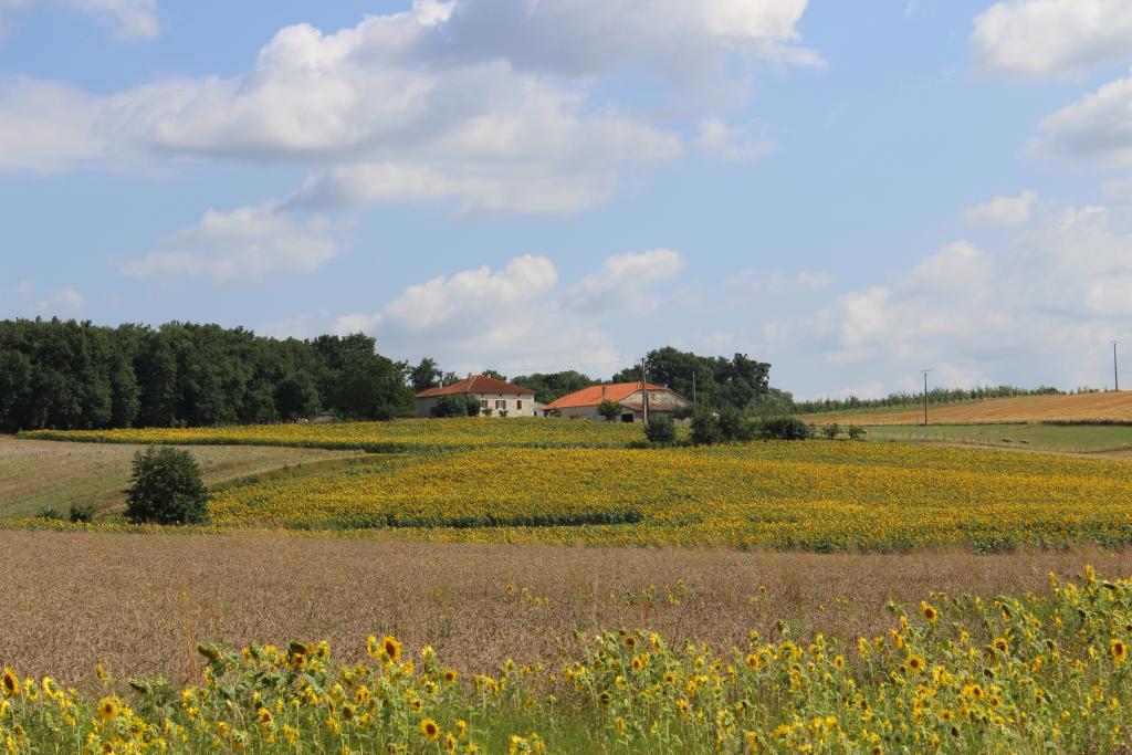 ferme