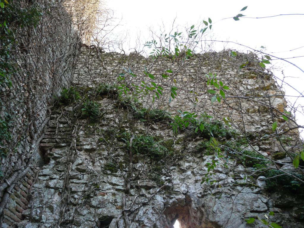 château de Cessac